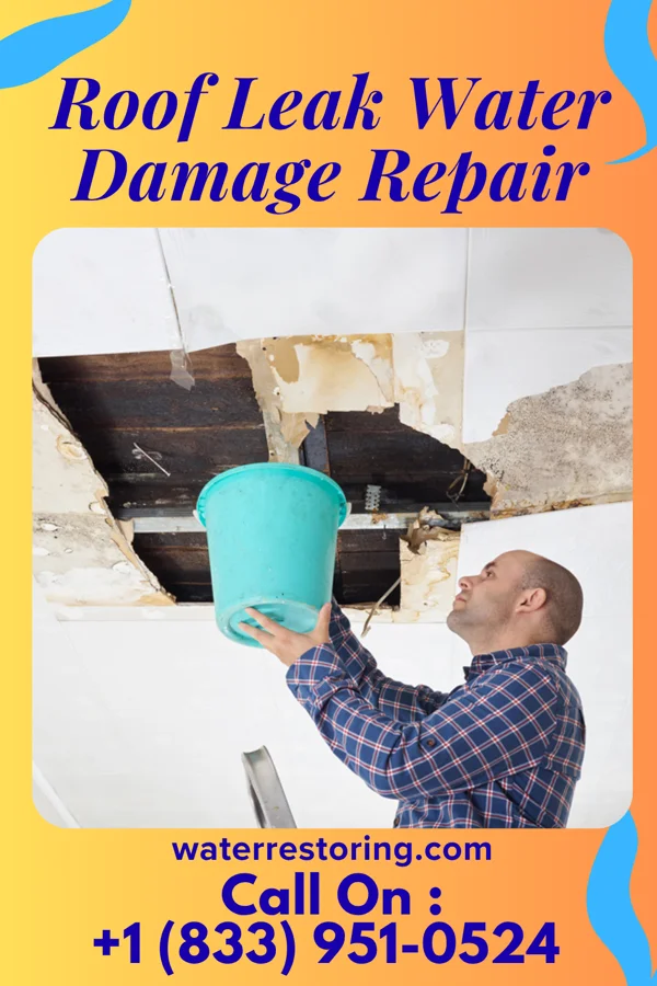 Roof Leak Water Damage Repair in Parrott, GA